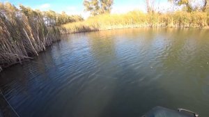 Давно не ловил СТОЛЬКО ЩУКИ - ПРОСТО НА БЛЕСНУ, рыбалка на спиннинг осенью