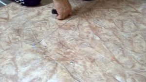 УТЕПЛЕНИЕ ПОЛА НА КУХНЕ/ ДЁШЕВО И СЕРДИТО.