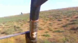 Охота на волка в Астраханских степях в клубе Астория