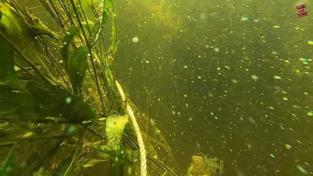 Дайвинг на Волге/ Поднял лодку "ВОРОНЕЖ"/ Гоняю на ней по реке/ Ждала меня 50 лет!!! смотреть онлайн