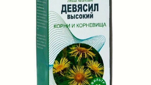Дикорастущие растения в нашем питании. Девясил. смотреть онлайн