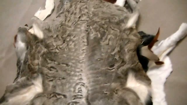 цветной каракуль от компании "Меховое Бюро"MTS смотреть онлайн