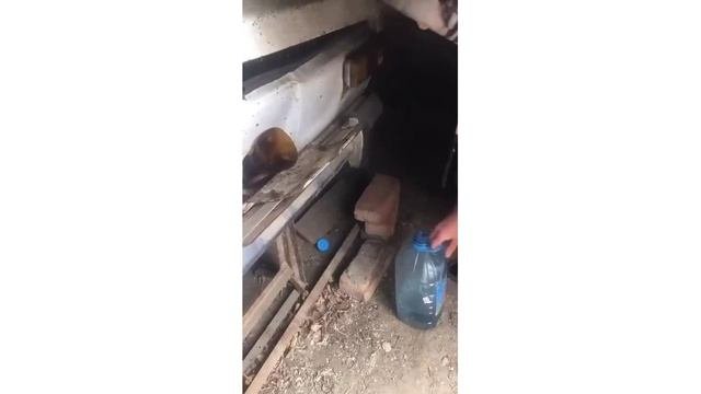 30ка самых ржачных приколов