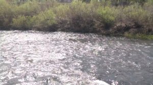 река Красивая меча. Бывшая мельница.