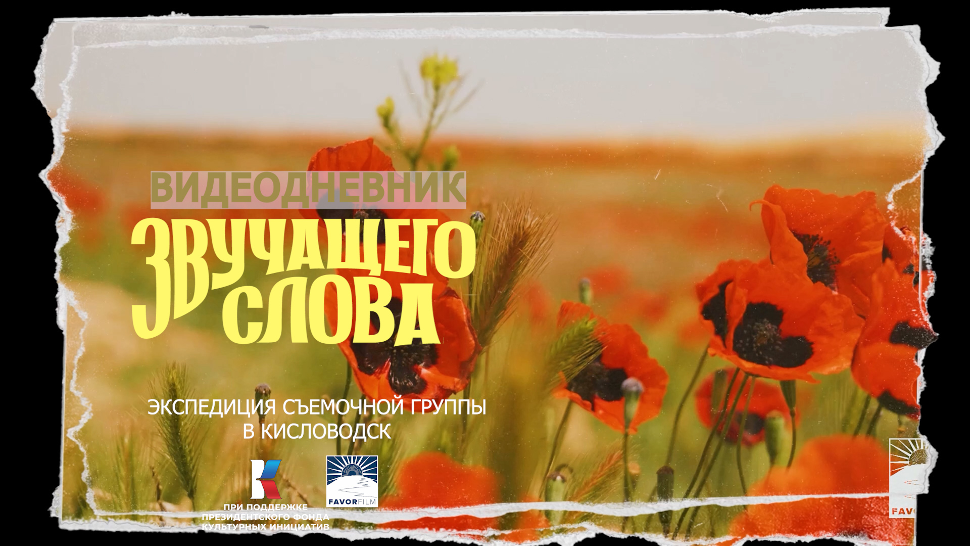 ВИДЕОДНЕВНИК 