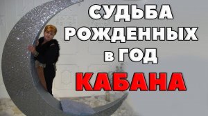 ПОШАГОВО РИСУНОК СУДЬБЫ РОЖДЕННЫХ В ГОД КАБАНА. В ЧЕМ СЧАСТЬЕ КАБАНА?