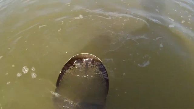 Пляжный поиск. Приятные находки!) смотреть онлайн