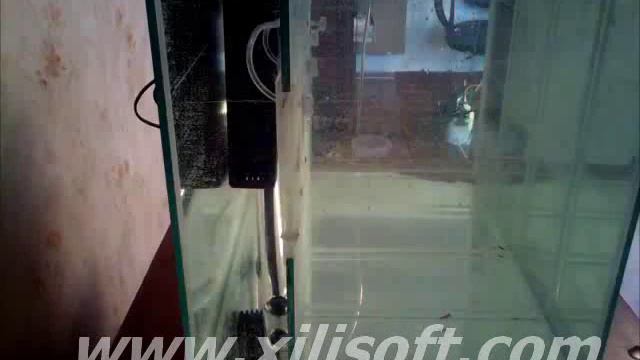 Малявочник смотреть онлайн