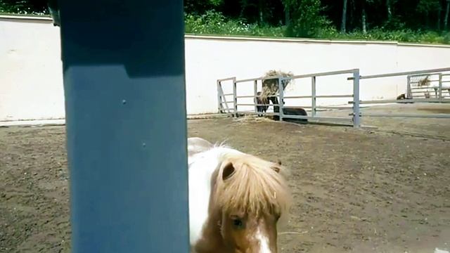 Video.Guru_20230422_115111458~2.mp4 смотреть онлайн