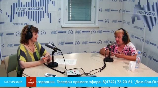 «Дом Сад Огород» Урожай 6 августа 2022