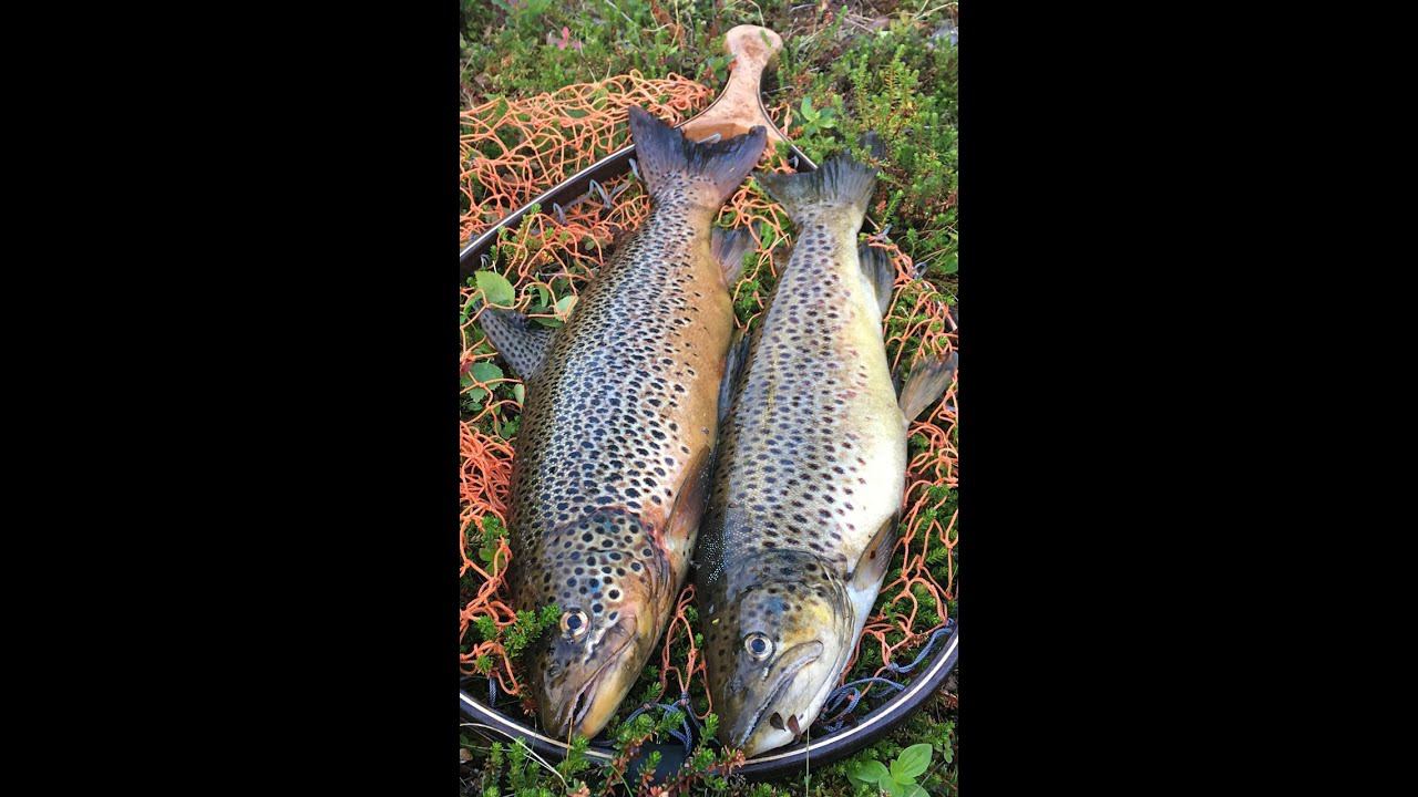 1994 год Толва на рыбалке смотреть онлайн