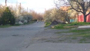 Сузуки Ран VS Хонда Дио Аф 34 . Обзор на Suzuki run и гонка скутеров .