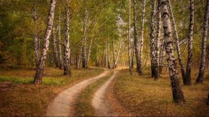 Гляжу в озёра синие