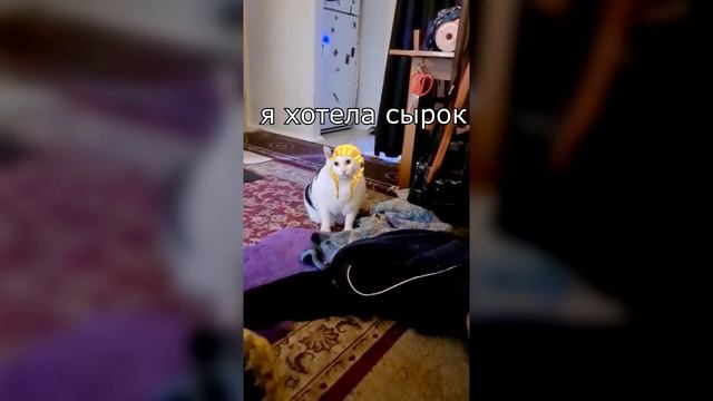 Девушка встречает после работы смотреть онлайн