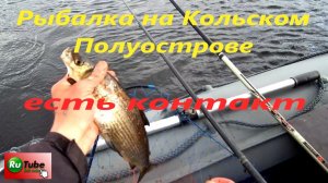 Рыбалка на Кольском Полуострове. Ловля сига и кумжи.