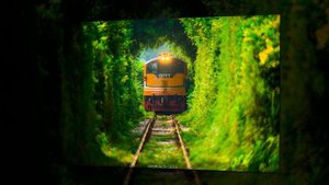 Five Hundred Miles (500 milhas)