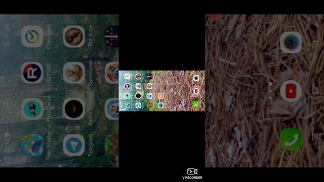 222024_VRecorder.mp4