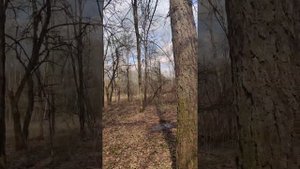 Зачем Бог создал такую огромную вселенную?🤷🏼♂️