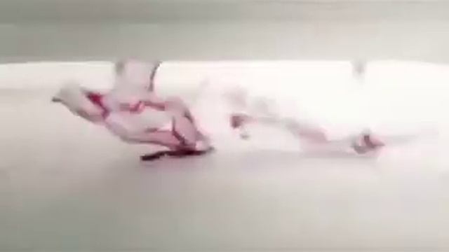 Мир Вам и Вашему дому❤ смотреть онлайн