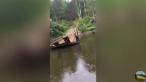 По тайге на питбайках