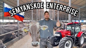MODERN RUSSIAN DAIRY FARM!!!