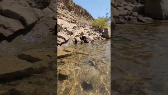 Красивая прозрачная вода на Тбилисском море смотреть онлайн