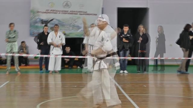 Открытое первенство АПП ЮФУ по формальным комплексам традиционных и спортивных единоборств 2015 смотреть онлайн