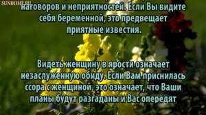 К чему снится Незнакомая женщина сонник, толкование сна