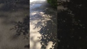 Покатушки по городу на электросамокате Kugoo S3. Замер пробега на одном заряде.