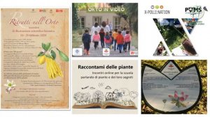 Un Orto al mese: l'Orto Botanico di Pisa