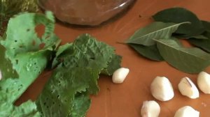 Классические Луховицкие соленые огурцы!!!