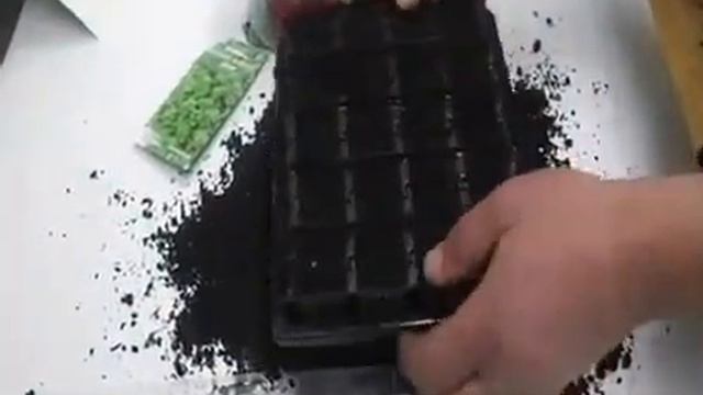 Универсальная Многоразовая Кассетная Система для Рассады прикорневого полива