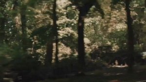 StereoMadness - Squid