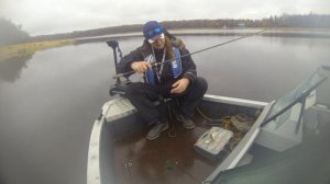 Где кастинг лучше спиннинга? Рыбалка на мелководье.