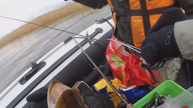 ПЕРВЫЙ ЛЕД ОТМЕНЯЕТСЯ!!! ЛОВИМ ЩУКУ НА ЛАДОЖСКОМ ОЗЕРЕ.РЫБАЛКА В ЛЕНИНГРАДСКОЙ ОБЛАСТИ. смотреть онлайн