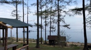 Сербский нож в работе по мясу и продуктам. Обзор. Кузница Династия