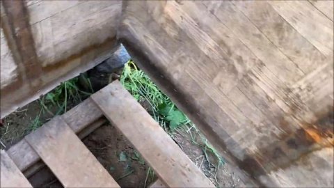 Дачный душ из подручных материалов, цена вопроса лейка для душа.