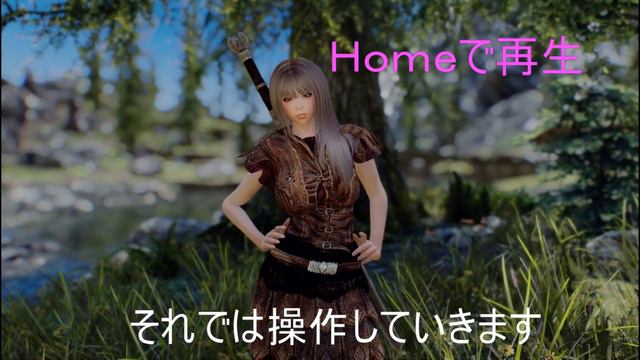 [PC版スカイリムSE MOD紹介]ポーズ管理MOD「Poser Hotkeys Plus SSE」 смотреть онлайн