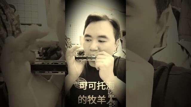 可可托海的牧羊人  作詞：王琪  作曲：王琪 原唱：王琪 複音口琴 Tombo 3521 A#調
