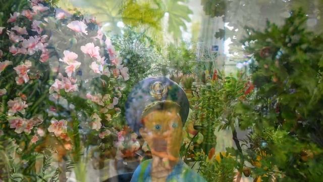 Магазин искусственных деревьев Декоративные купить для интерьера квартиры ландшафта сада дачи дома смотреть онлайн