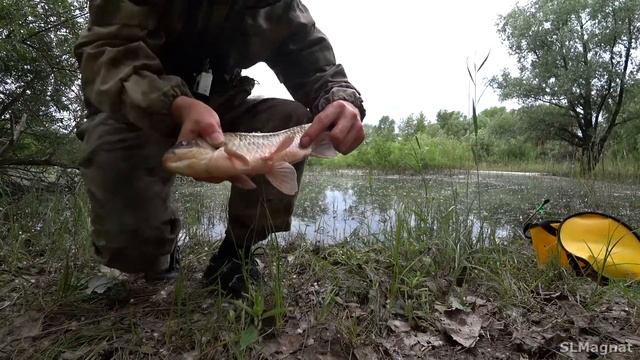 ОГРОМНЫЙ КАРАСЬ в ЛУЖЕ...ОСТАВИЛ все ПОПЛАВКИ! Рыбалка на карася 2023 смотреть онлайн