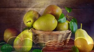 Приснилась ГРУША #СонникФрейда