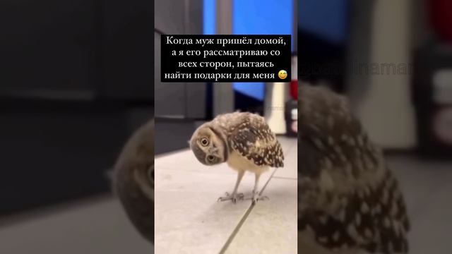 У кого так же?😁