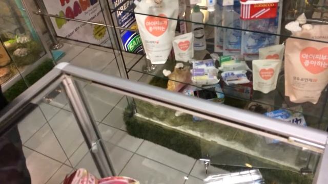 Тайский молочный чай, рецепт приготовления смотреть онлайн