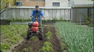 ВТОРАЯ ОКУЧКА КАРТОХИ В - 2022 г