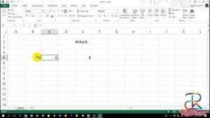 How to solve the #value error in MS Excel || TipVisor