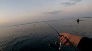 Мой новый БЕРЕГОВОЙ ЛАЙТ. CF Arion 832LS + Daiwa 18’Prorex V LT 2500-xh