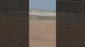Погода в Седово.