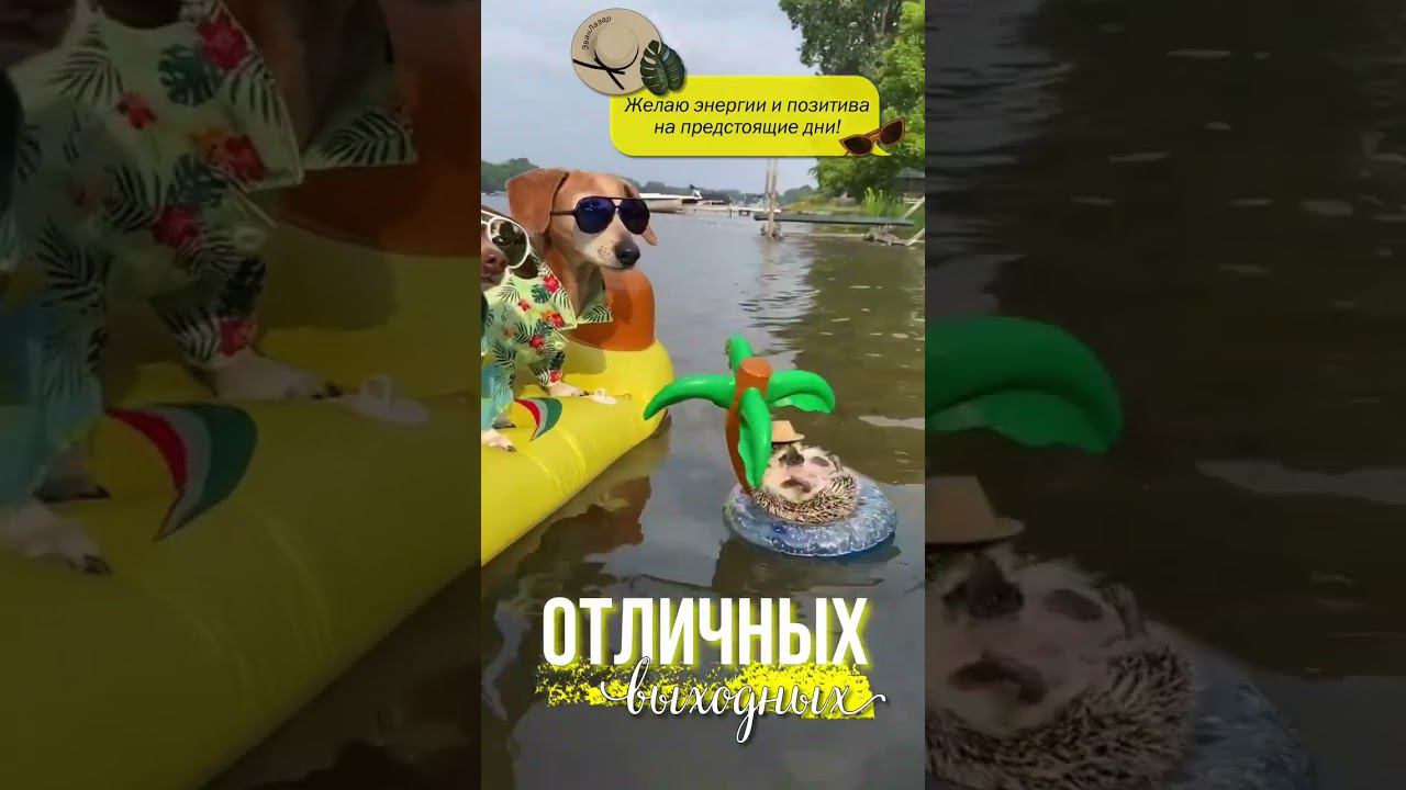 Открытка. Отличных выходных #открытки #выходные #отличныхвыходных