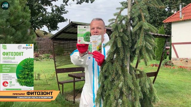 РАКУРС и ПИНОЦИД мощный хвойный MUST HAVE смотреть онлайн